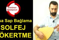 Çökertme Solfej – Kısa Sap Bağlama Zeybek Mızrabı