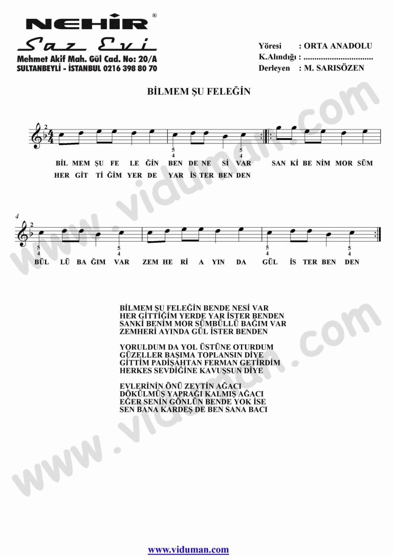 Bilmem Su Felegin-Baglama-Saz-Notalari