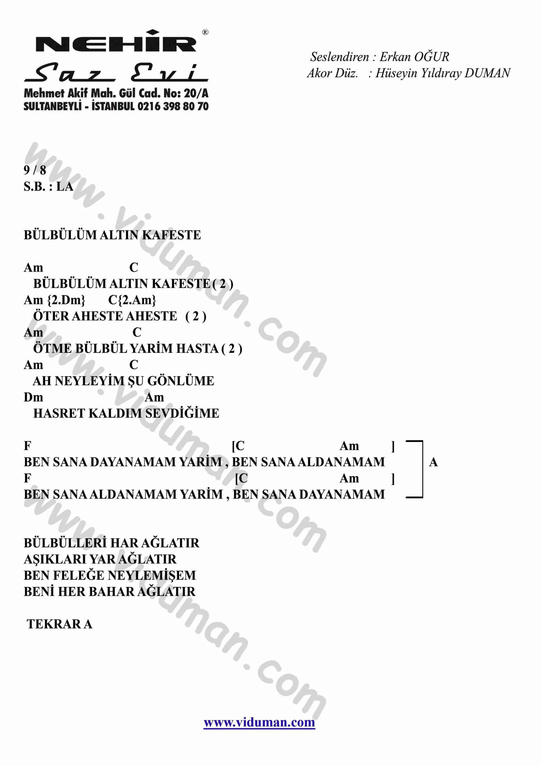 Bulbulum Altin Kafeste-Gitar-Ritim-Akorlari