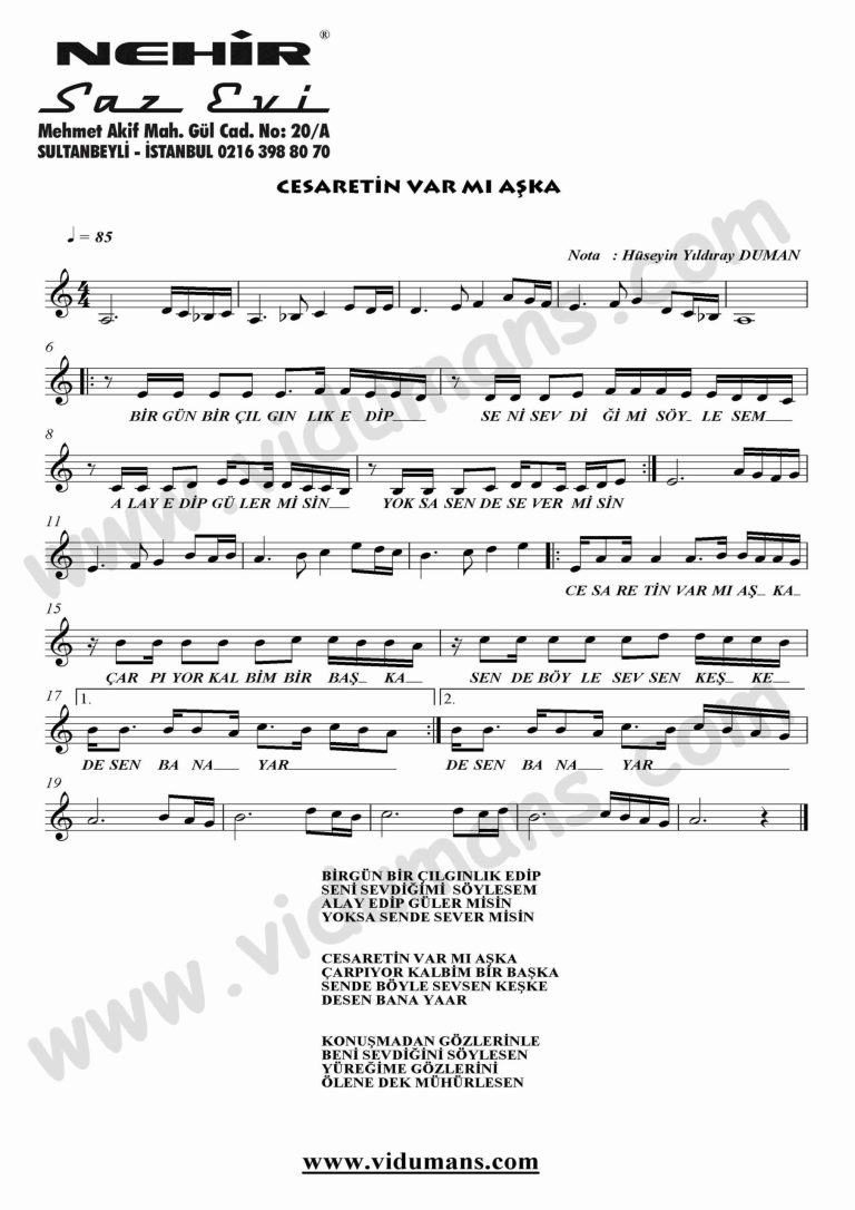 Cesaretin Var Mi Aska-Keman-Notalari