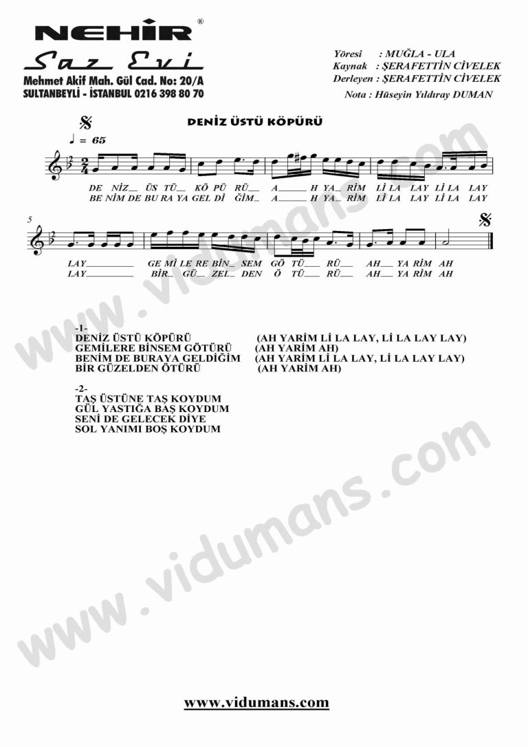 Deniz Ustu Kopuru-Keman-Notalari