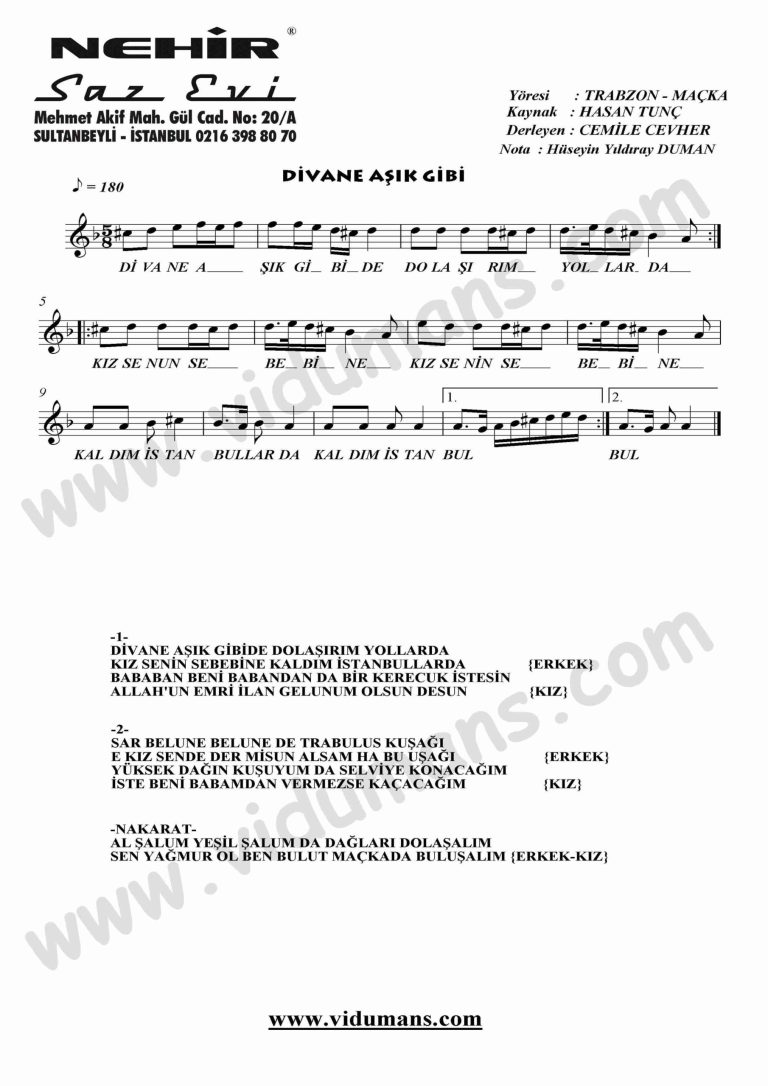 Divane Asik Gibi-Keman-Notalari