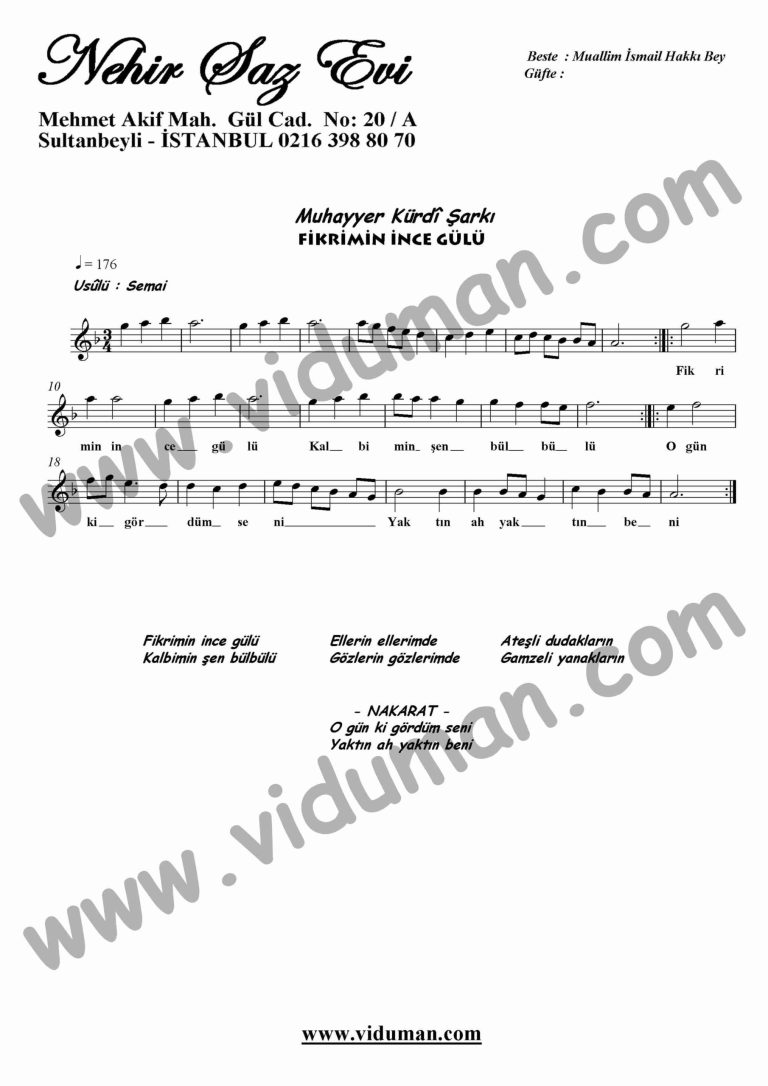 Fikrimin Ince Gulu-Keman-Notalari