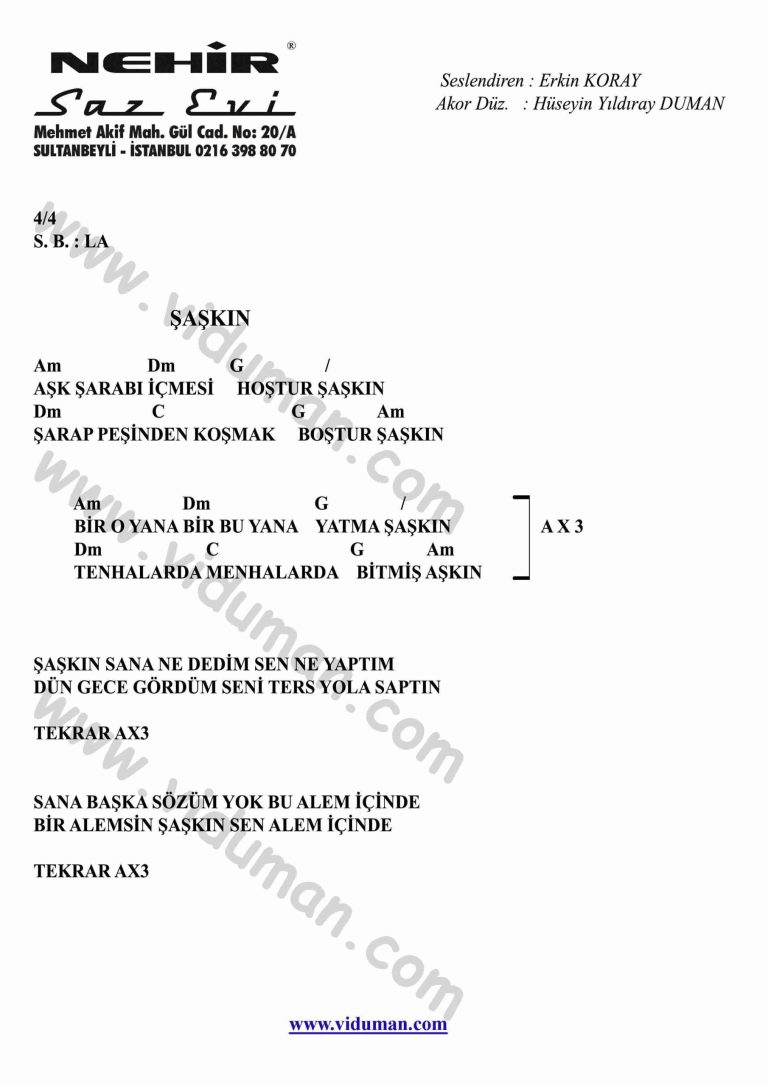 Saskin-Gitar-Ritim-Akorlari