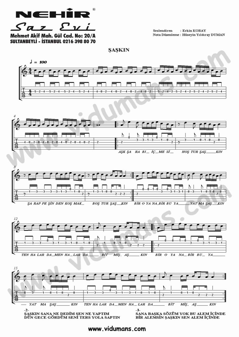 Saskin-Gitar-Solo-Notalari