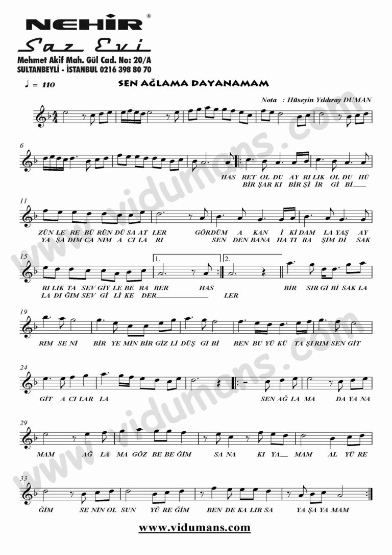 Sen Aglama Dayanamam-Keman-Notalari