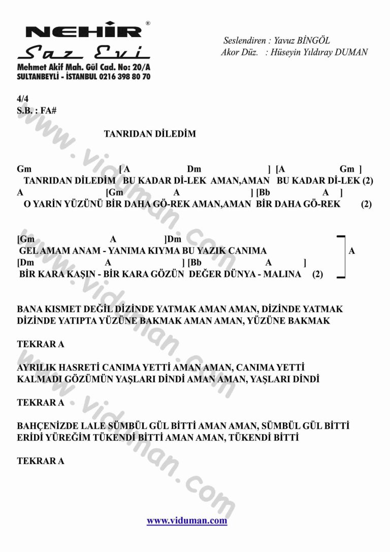Tanridan Diledim-Gitar-Ritim-Akorlari
