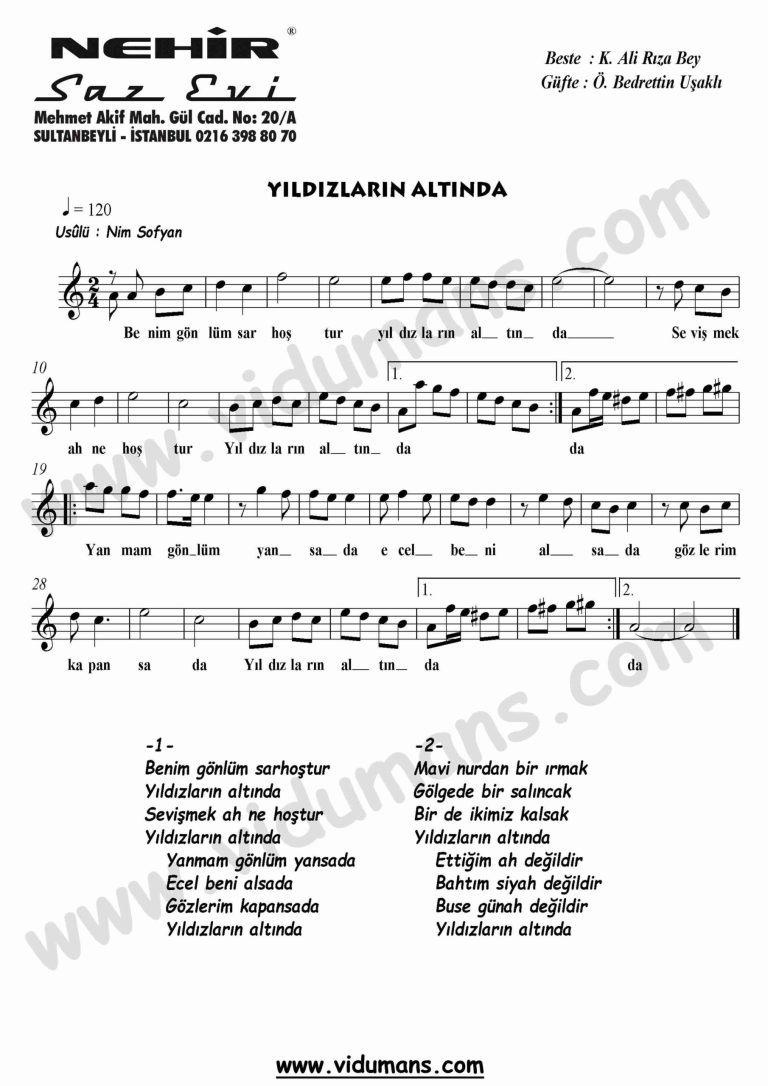 Yildizlarin Altinda-Keman-Notalari