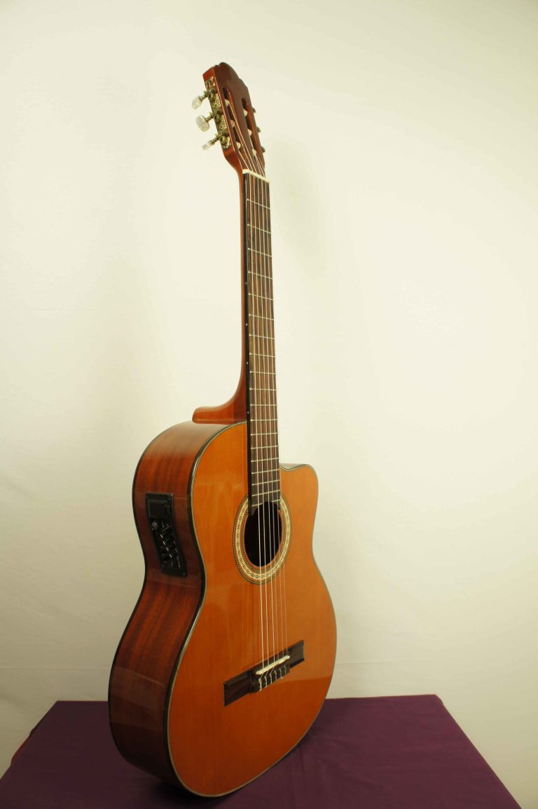 elektro_klasik_gitar_valentina_uygun_fiyata_elektro_VA-6521CE_2
