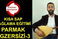 Kısa Sap Bağlama Eğitimi – Egzersiz 3 (Türkülerdeki Ara Geçişler)