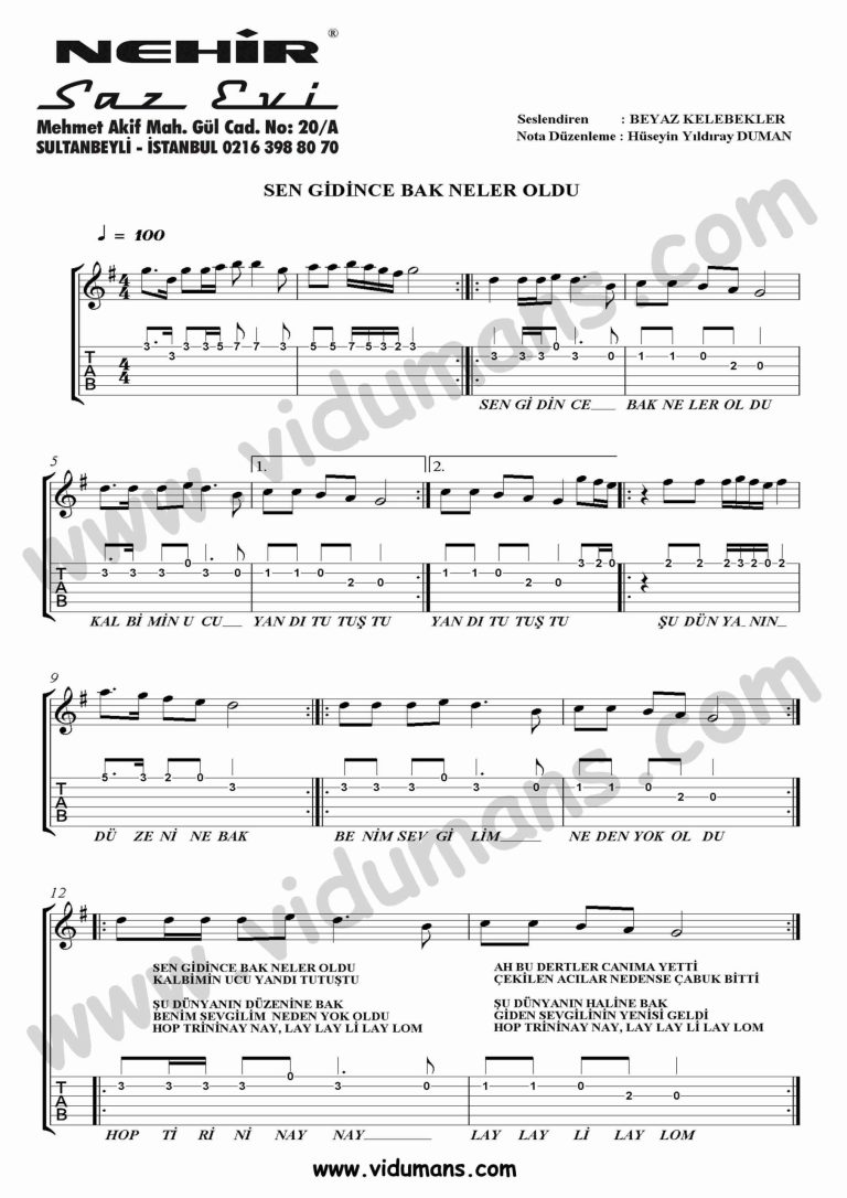 Sen Gidince Bak Neler Oldu-Gitar-Tab-Solo-Notalari