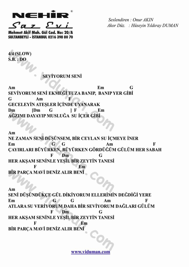 Seviyorum Seni-Gitar-Ritim-Akorlari