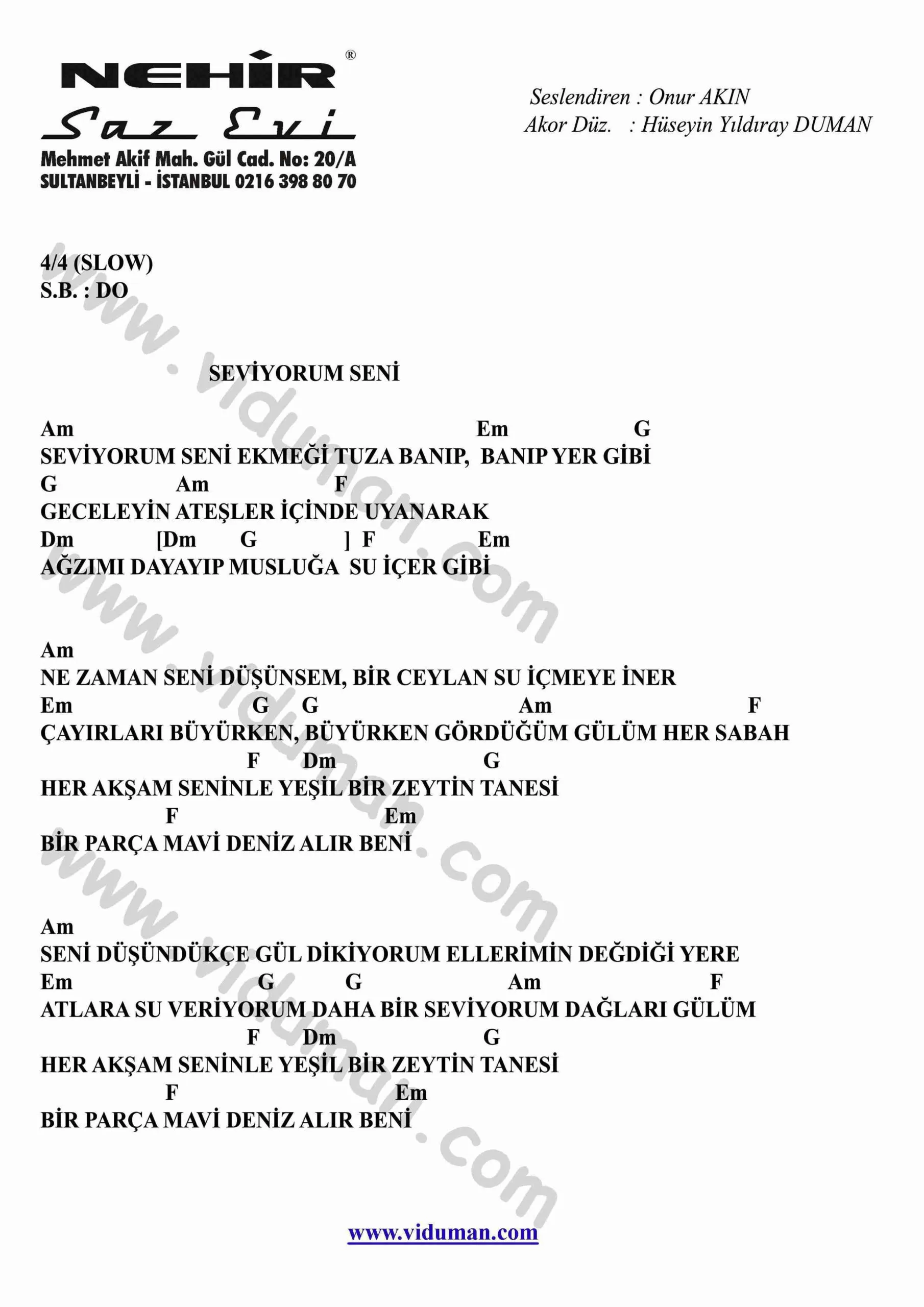 Seviyorum Seni-Gitar-Ritim-Akorlari