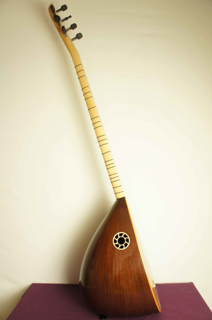 uzun_sap_saz_venge_agaci_UVNG02_1