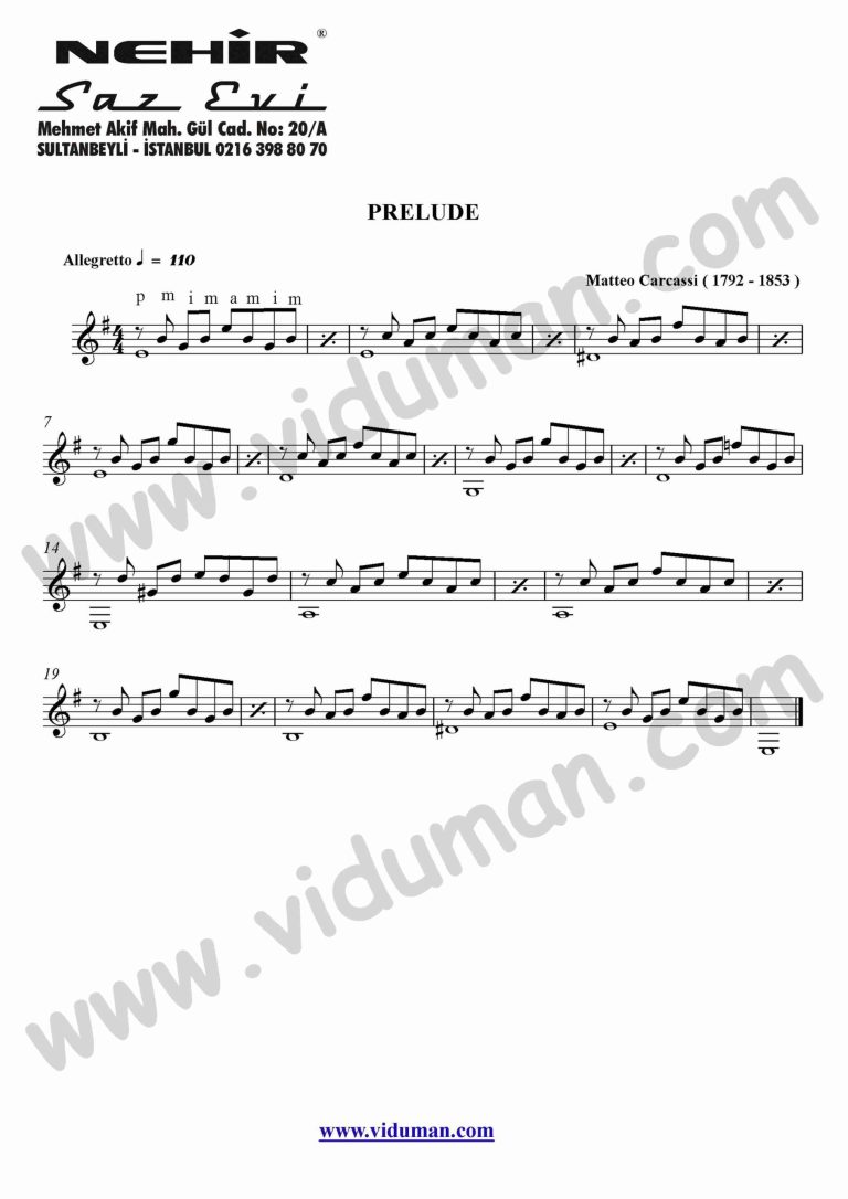 16- Prelude (Matteo Carcassi)