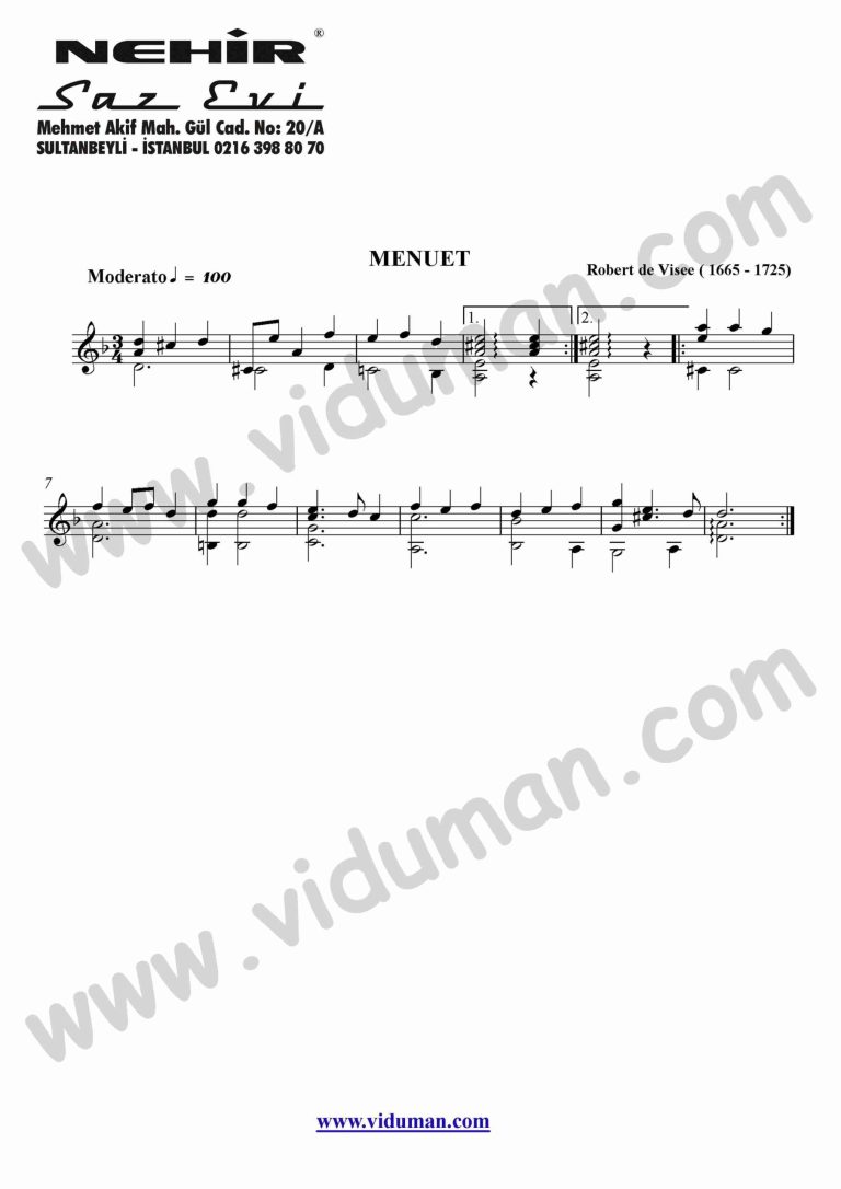 17- Menuet (Robert De Visee)