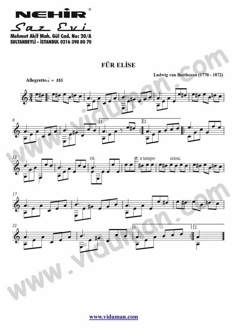 20- Fur Elise (Ludwig Van Beethoven)