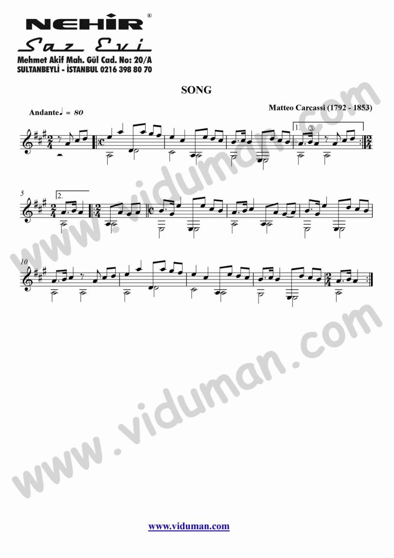 21- Song (Matteo Carcassi)