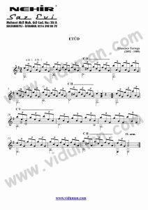 31- Study In Mi Minor Etud (Francisco Tarrega)