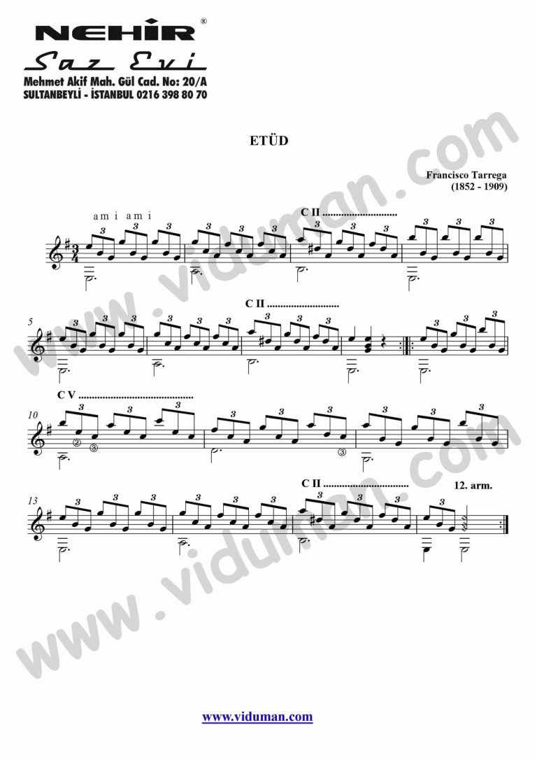 31- Study In Mi Minor Etud (Francisco Tarrega)