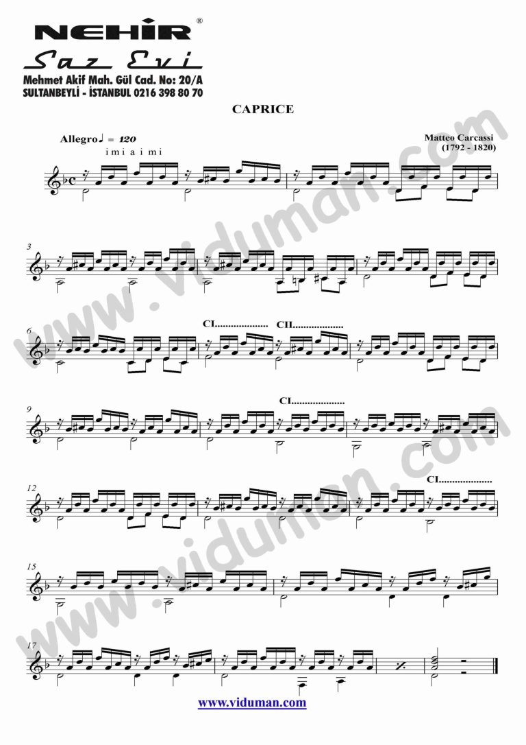 60- Caprice (Matteo Carcassi)