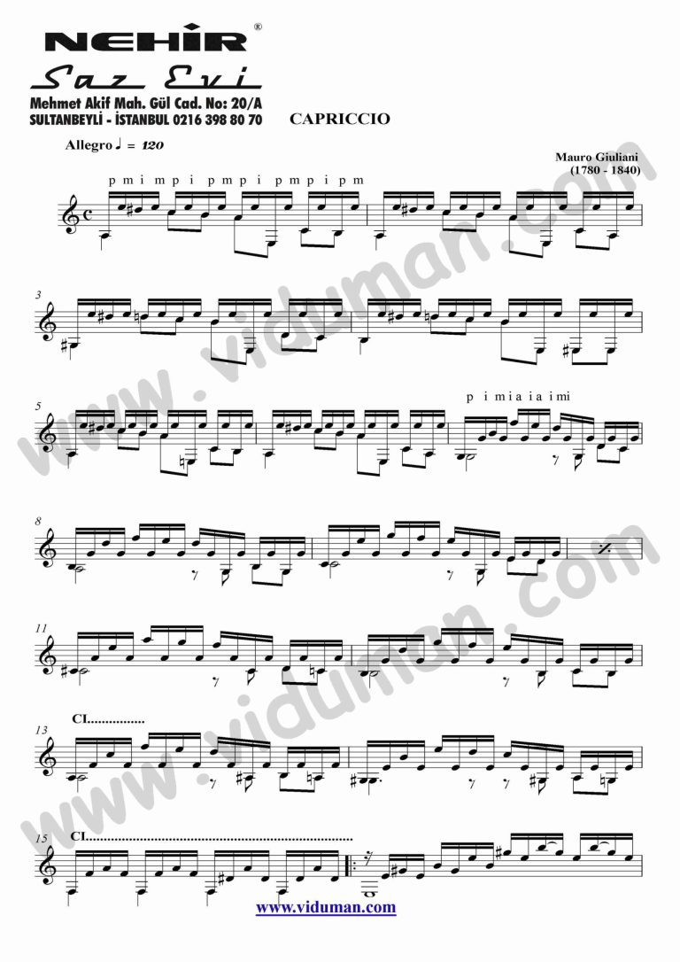 82- Capriccio (Mauro Giuliani)_1