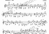 Bourree – 1.Lavta Suitinden (J.S.Bach)