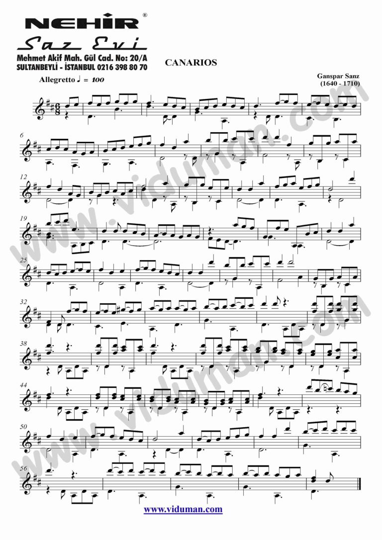 91- Canarios (Ganspar Sanz)