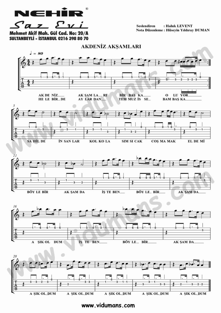 Akdeniz Aksamlari-Gitar-Solo-Tab-Notalari