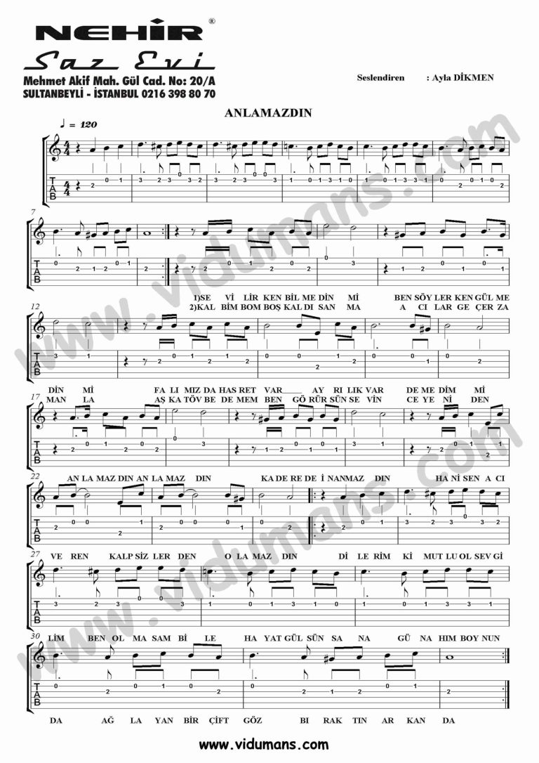 Anlamazdin-Gitar-Solo-Tab-Notalari