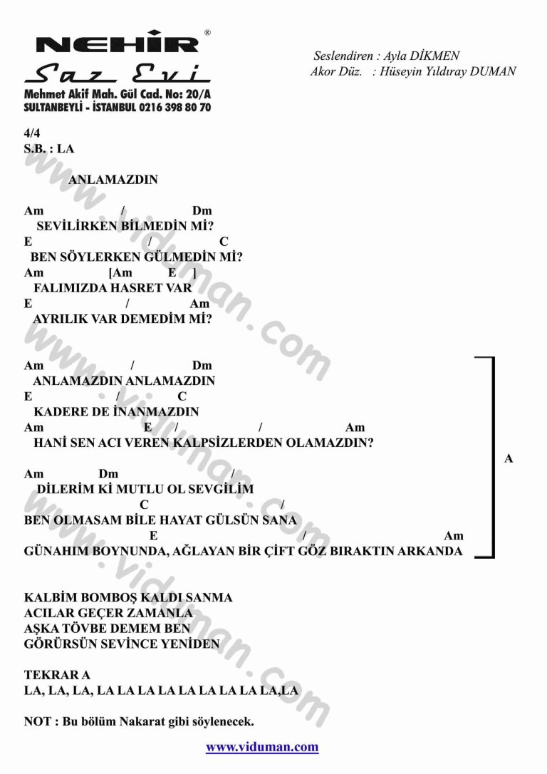 Anlamazdin-Gitar-Ritim-Akorlari