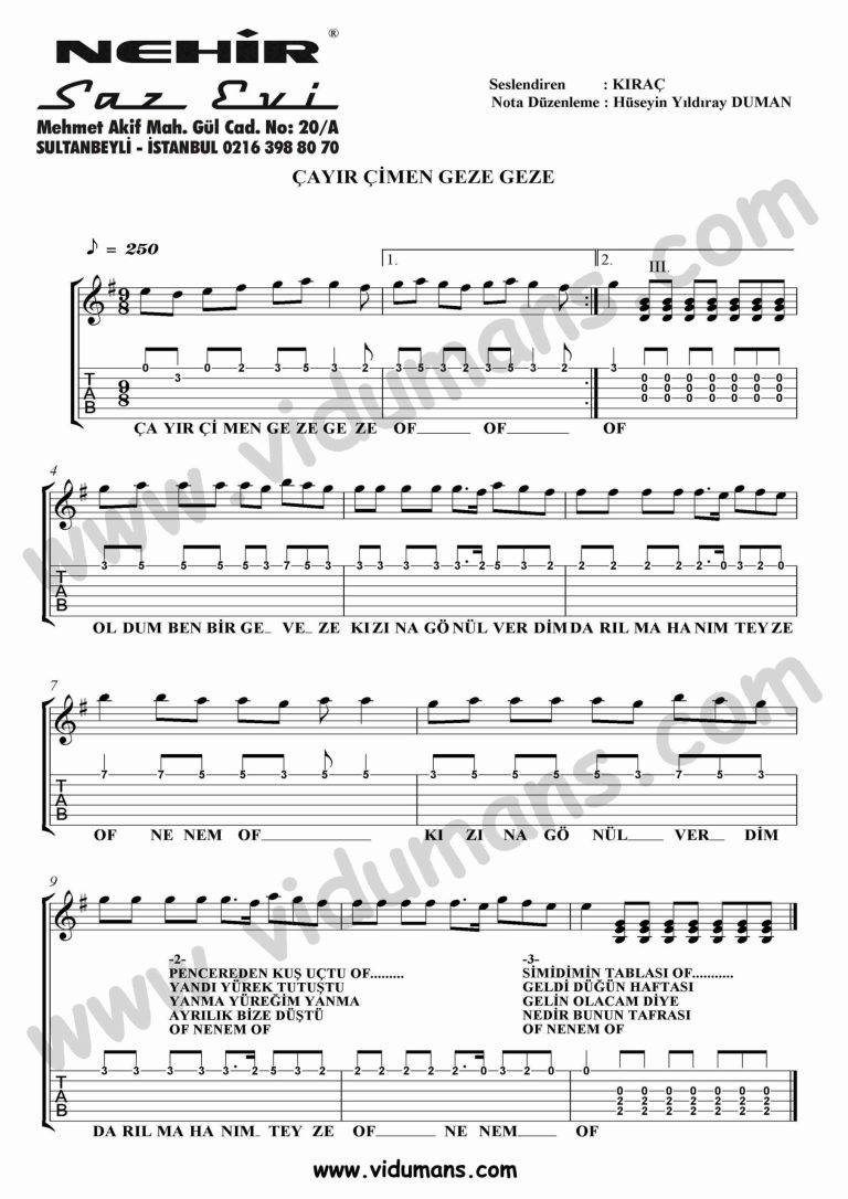 Cayir Cimen Geze Geze-Gitar-Tab-Solo-Notalari