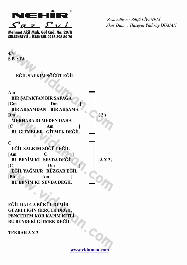 Egil Salkim Sogut-Gitar-Ritim-Akorlari