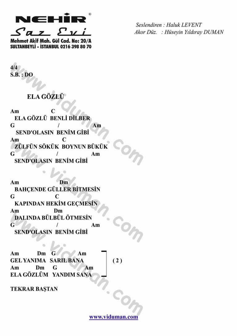 Ela Gozlu-Gitar-Ritim-Akorlari