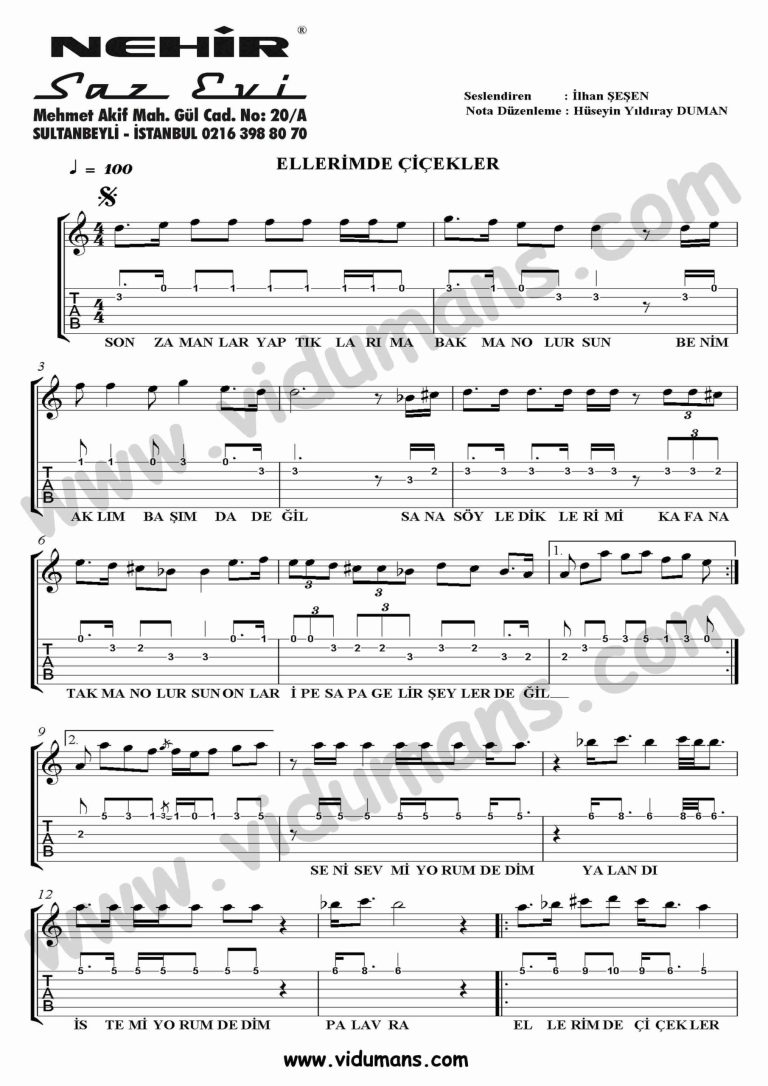 Ellerimde Cicekler_1-Gitar-Tab-Solo-Notalari