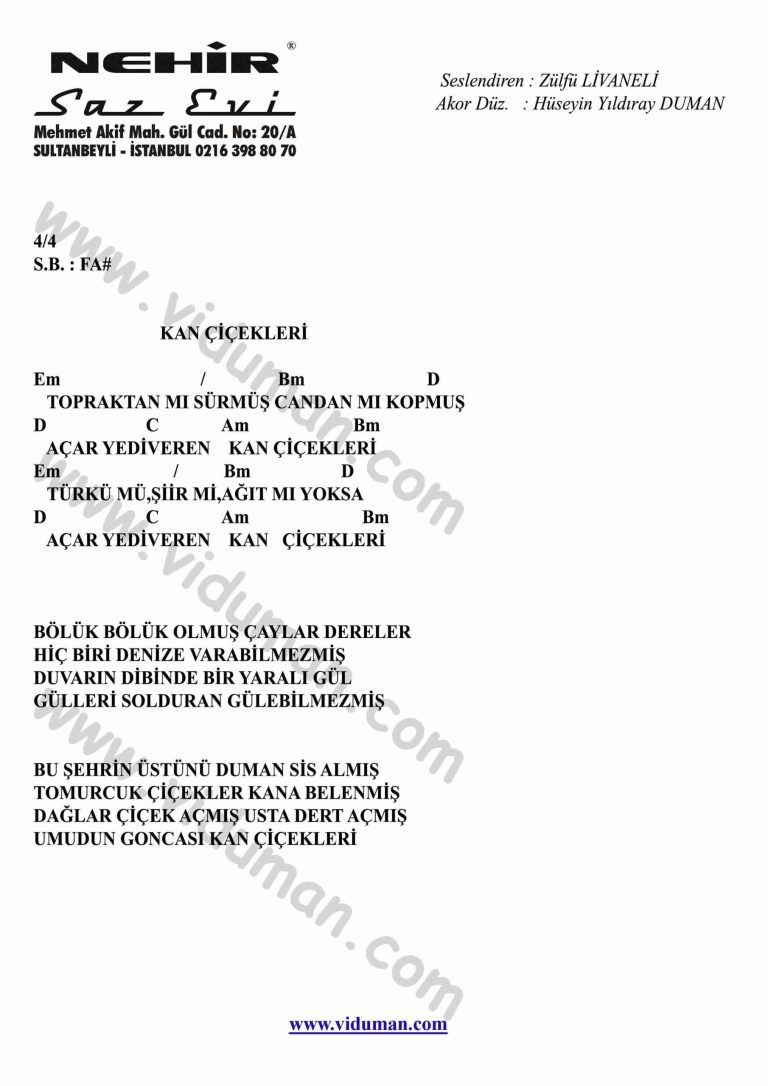 Kan Cicekleri-Gitar-Ritim-Akorlari