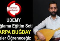 UDEMY Bağlama Eğitim Seti – 39.Ders: Arpa Buğday Daneler – Neler Öğreneceğiz