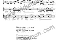 Çamlar Altına – Bağlama-Saz Türkü Notaları