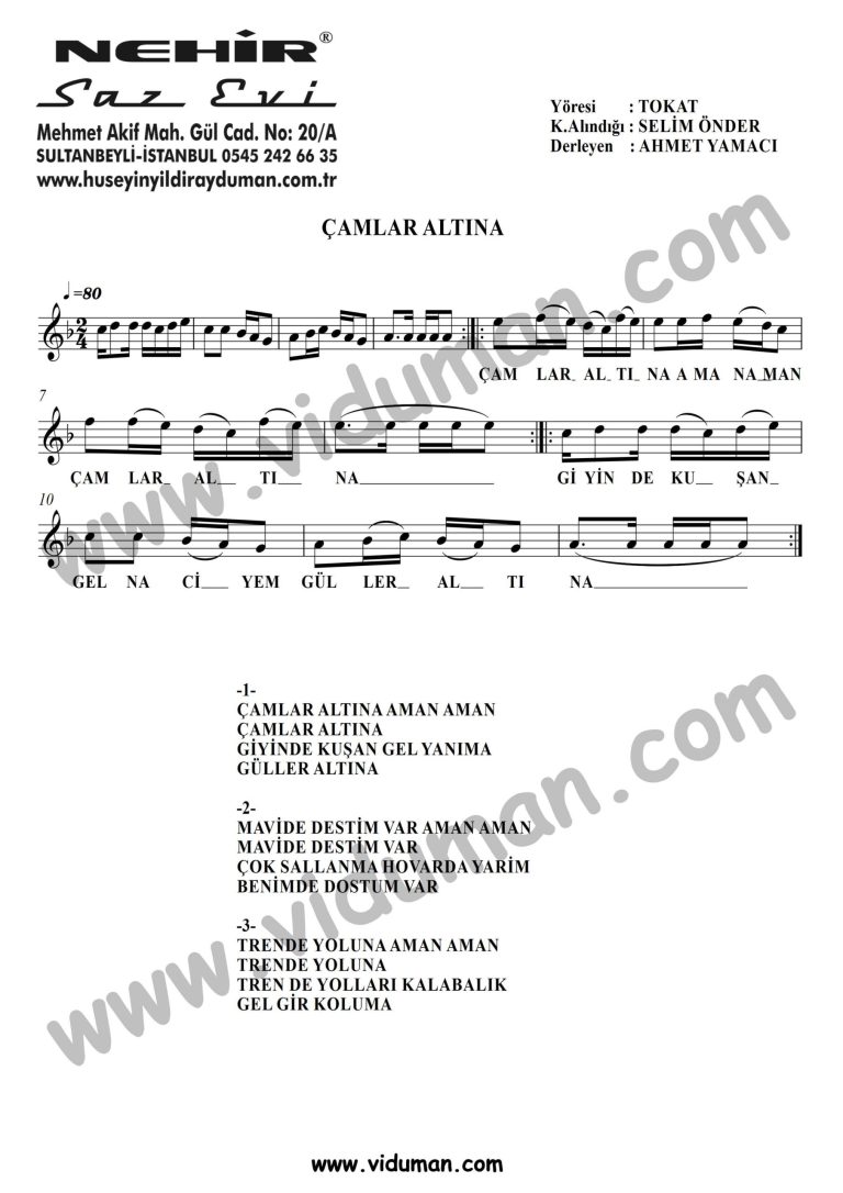 Camlar Altina-Baglama-Saz-Notalari