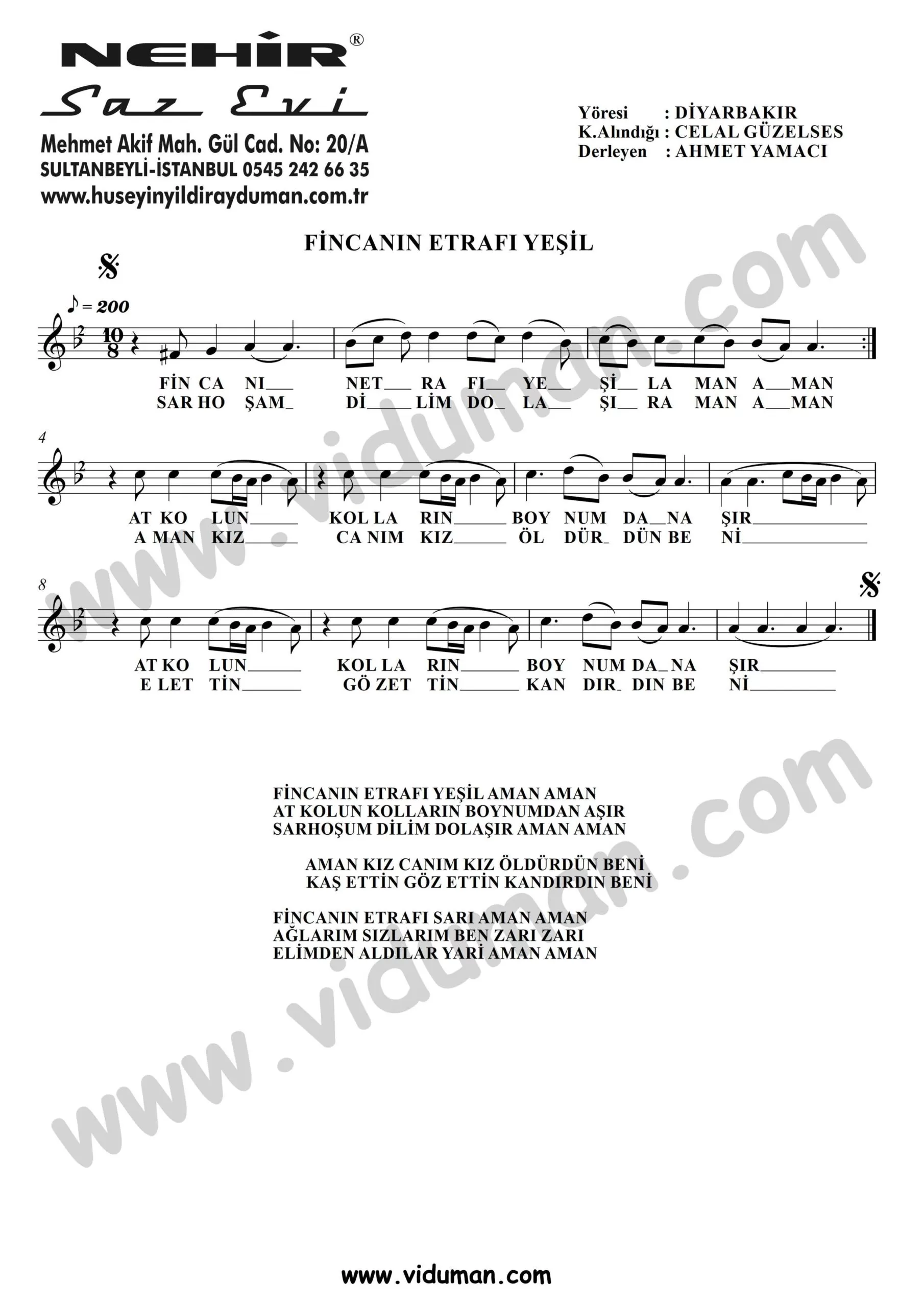 Fincanin-Etrafi-Yesil-Baglama-Saz-Notalari