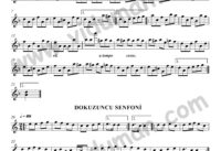 Für Elise -9. Senfoni – Bağlama-Saz Türkü Notaları