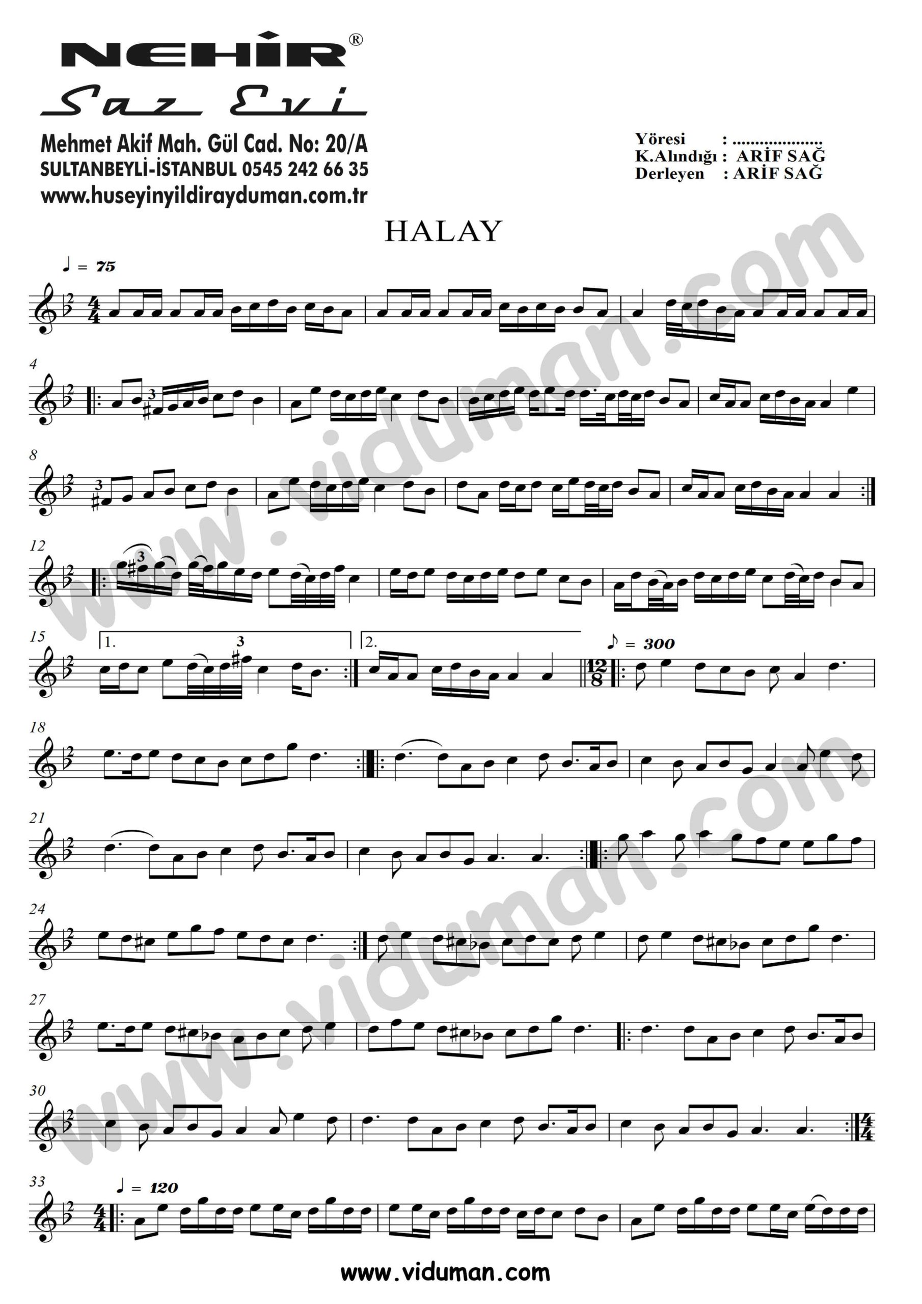 Halay (Arif Sag)_1-Baglama-Saz-Turku-Notalari