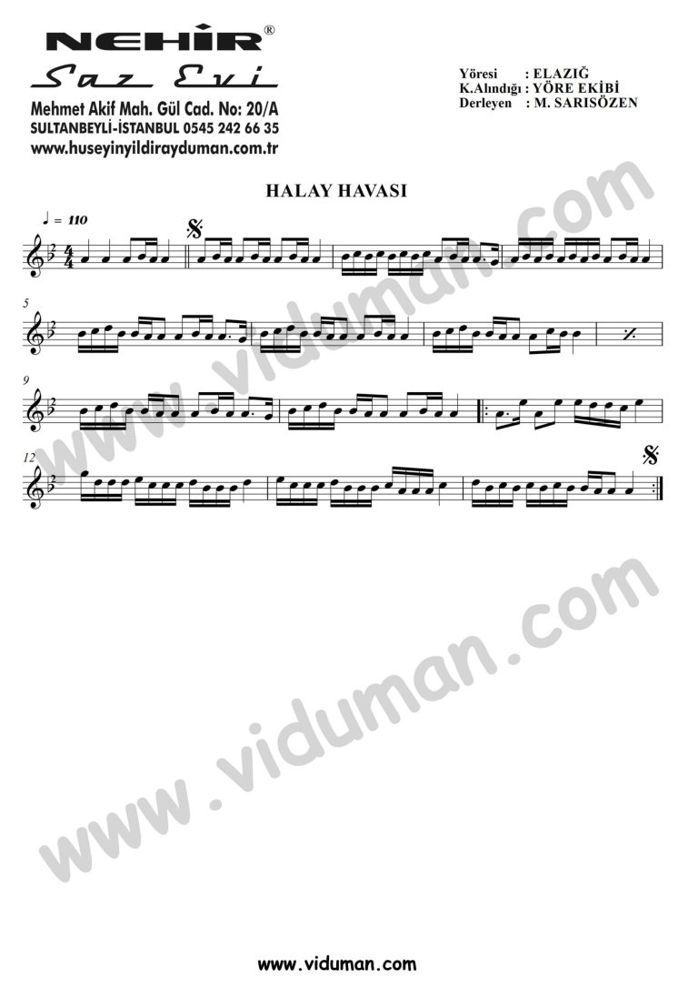 Halay Havasi-Baglama-Saz-Turku-Notalari