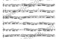 Merzifon Karşılaması – Bağlama-Saz Türkü Notaları