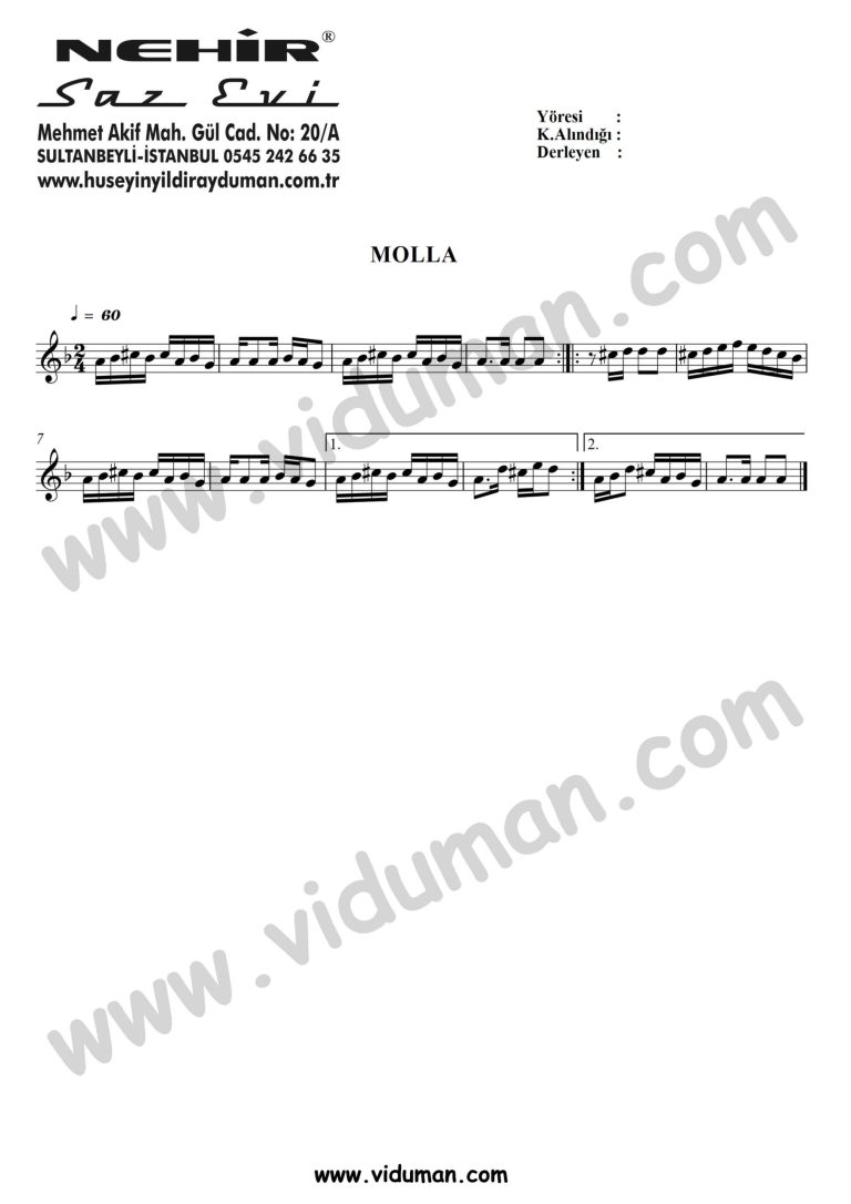 Molla-Baglama-Saz-Turku Notalari