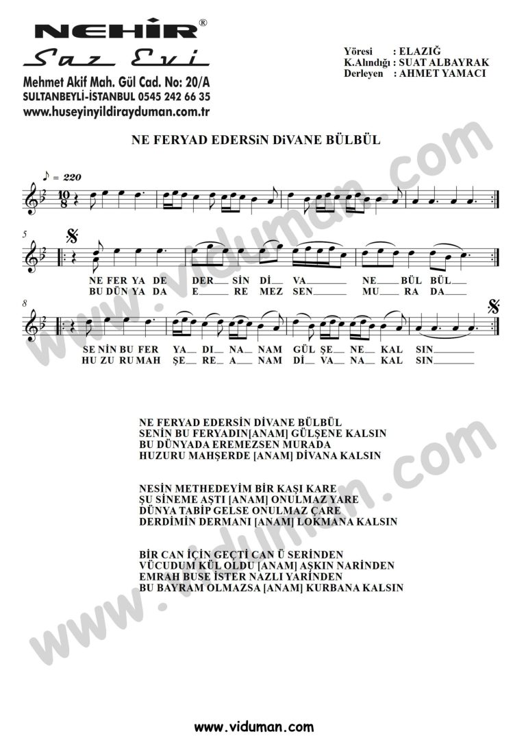 Ne Feryad Edersin Divane Bulbul-Baglama-Saz-Turku-Notalari