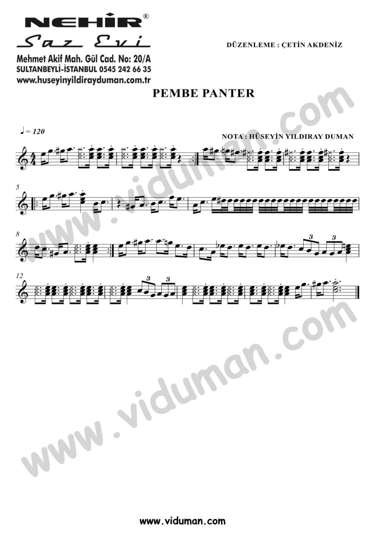 Pembe Panter La-Baglama-Saz-Turku-Notalari