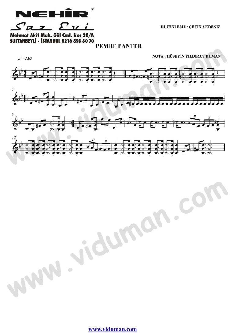 Pembe Panter Sol-Baglama-Saz-Turku-Notalari