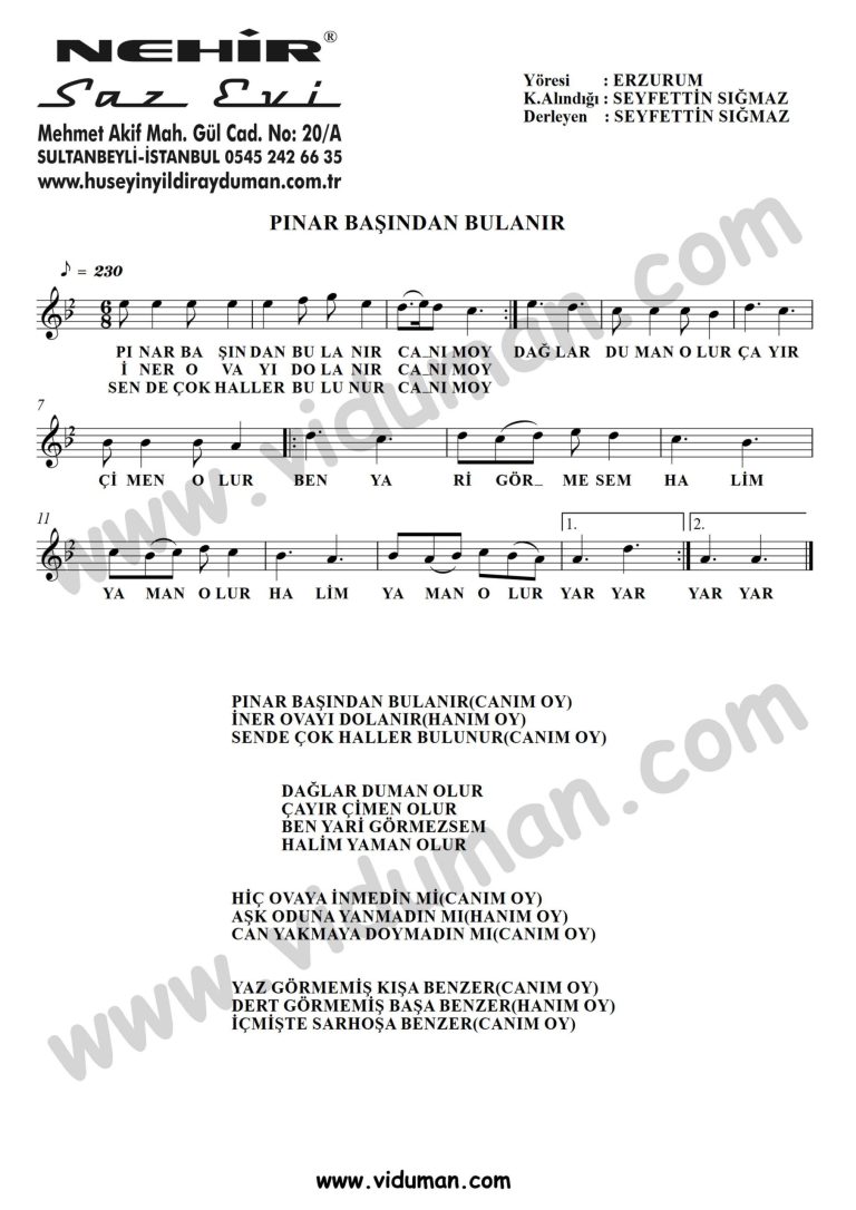 Pinar Basindan Bulanir-Baglama-Saz-Turku-Notalari