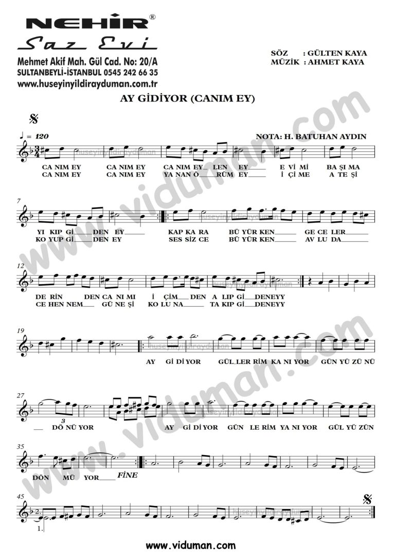 Ay Gidiyor-Ahmet Kaya-Baglama-Saz-Turku-Notalari